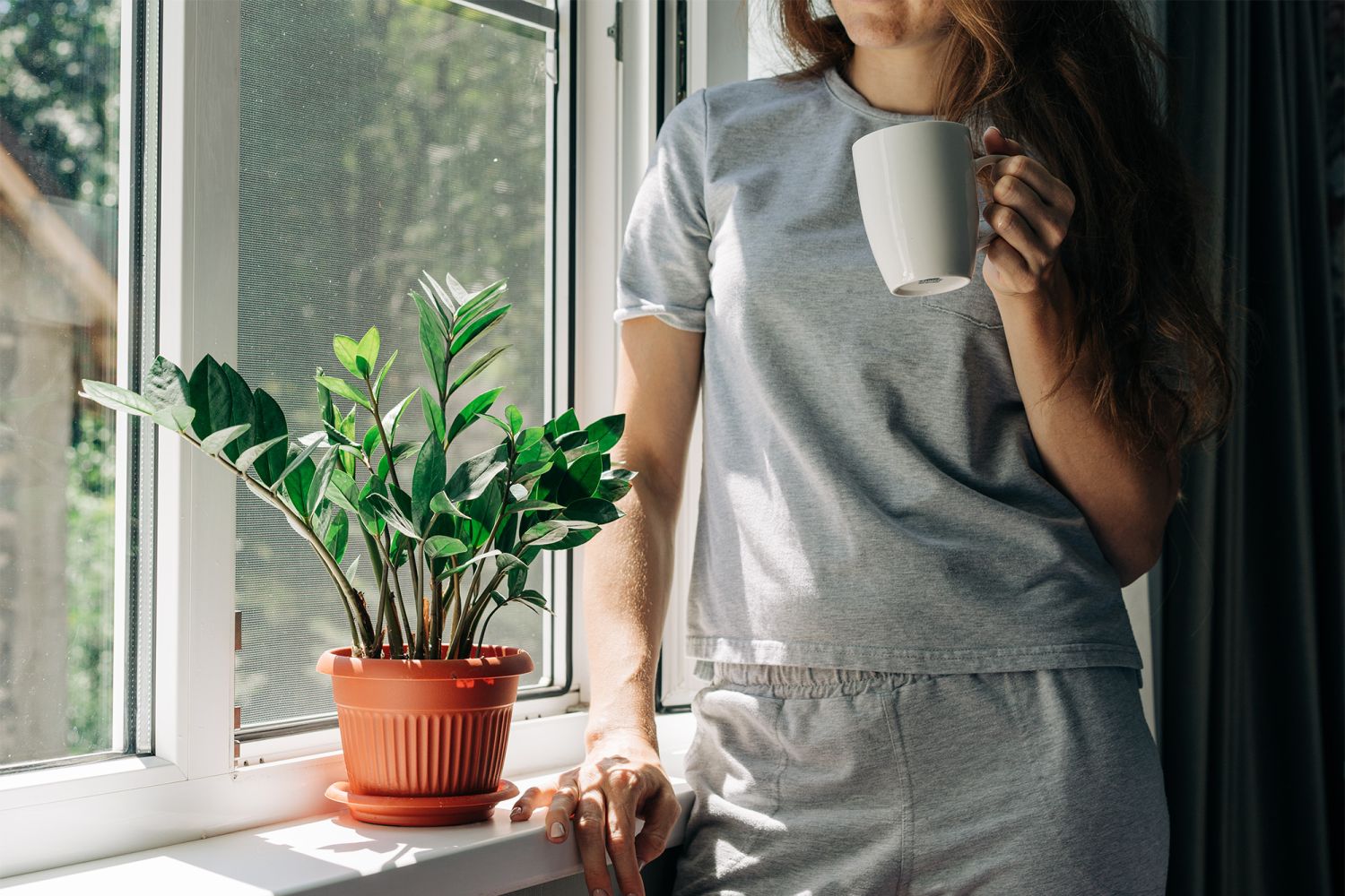 vliegenramen renopacif vliegenramen renopacif